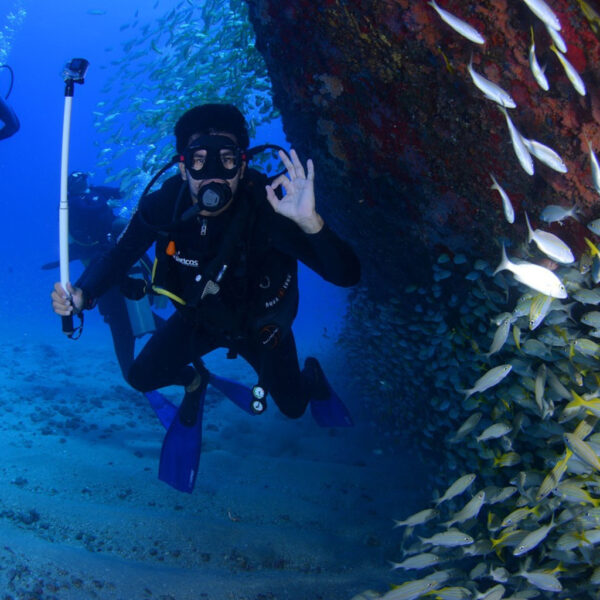 Inmersiones-guiadas-desde-barco-o-costa-Buceo-Javea-Xabia