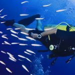 inmersiones guiadas de buceo en javea