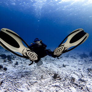 curso open water advance en javea