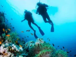Buceo-en-Javea-cursos-actividade