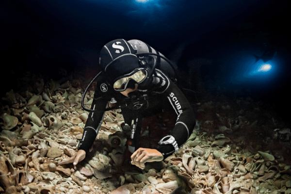 especialidad de buceo en javea buceo nocturno