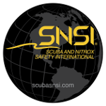LOGO SNSI NEGRO